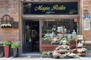 Kwiaciarnia Magia Roślin. Marlena Hansel