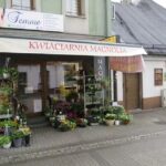 Kwiaciarnia Magnolia