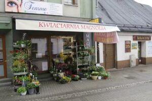 Kwiaciarnia Magnolia