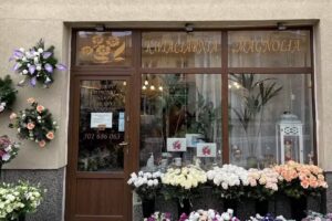 Kwiaciarnia Magnolia