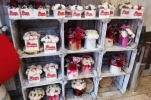 Kwiaciarnia Magnolia