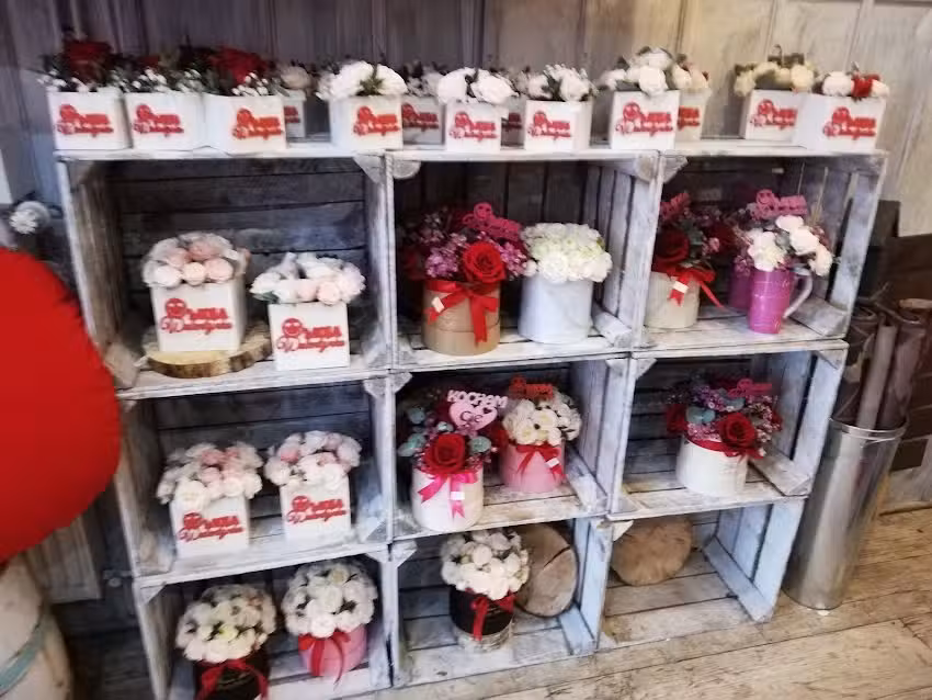 Kwiaciarnia Magnolia