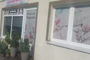 Kwiaciarnia Magnolia