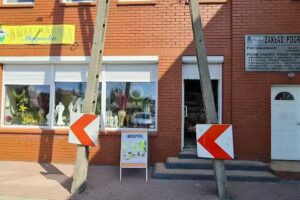 Kwiaciarnia Magnolia