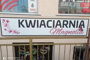 Kwiaciarnia Magnolia