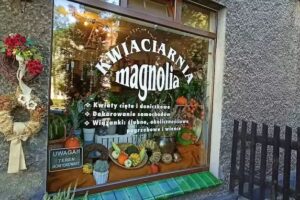 Kwiaciarnia Magnolia