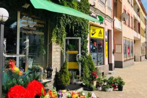 Kwiaciarnia „Magnolia”