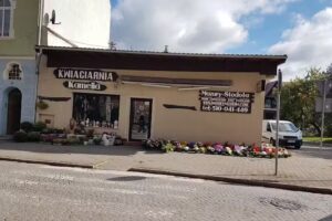 Kwiaciarnia Magnolia