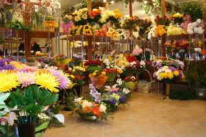 Kwiaciarnia Magnolia