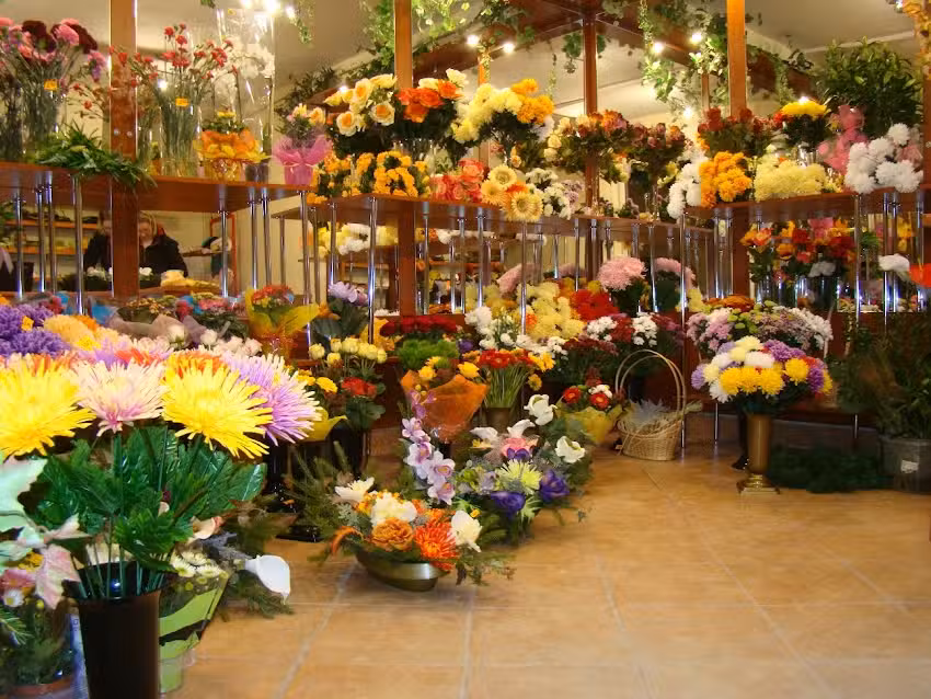 Kwiaciarnia Magnolia