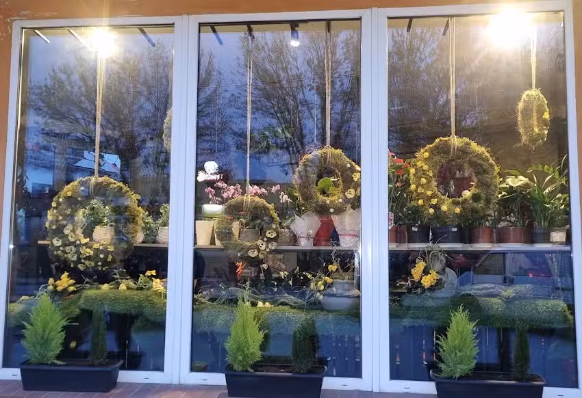 Kwiaciarnia Magnolia Monika Staniszewska