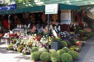 Kwiaciarnia Magnolia Paw.8