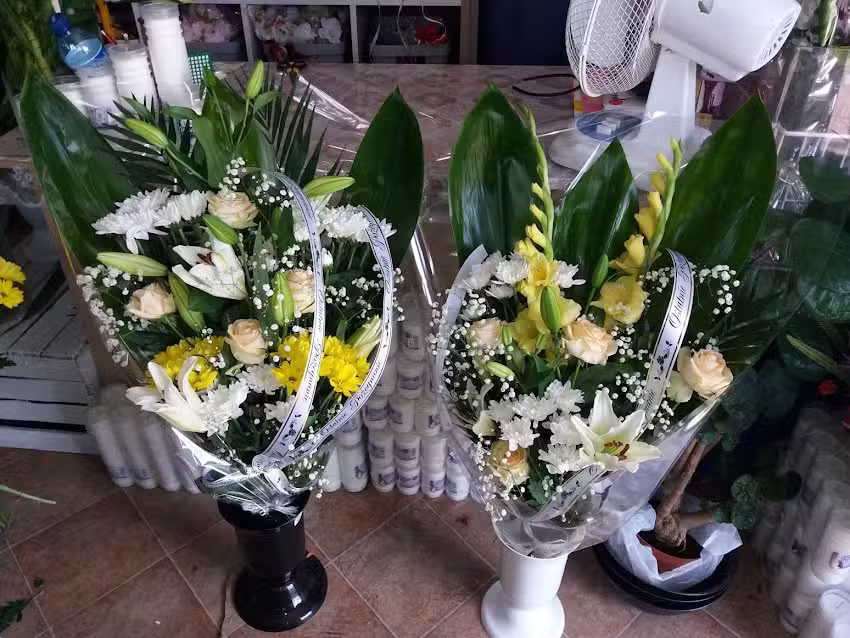 Kwiaciarnia Magnolia pod starym kasztanem