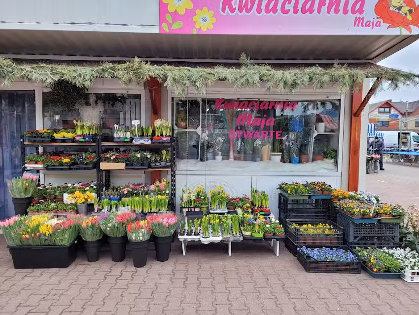 Kwiaciarnia Maja w Mińsku Mazowieckim