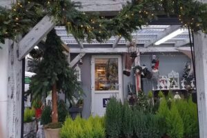 Kwiaciarnia Majka Wolna Dominika