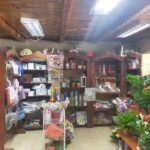 Kwiaciarnia „Malwa”