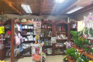 Kwiaciarnia „Malwa”