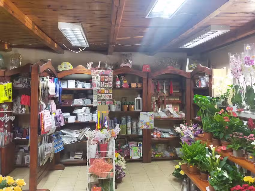 Kwiaciarnia „Malwa”