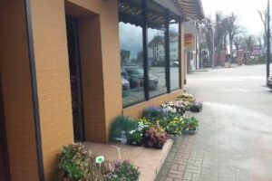 Kwiaciarnia Malwa w Pucku – Flora-Art – Weronika Walczak