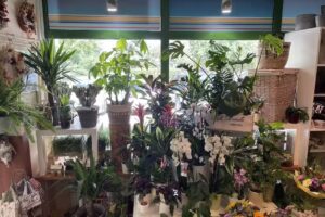 Kwiaciarnia „Many Happy”