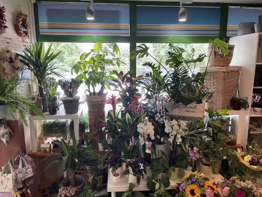 Kwiaciarnia „Many Happy”