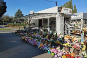 Kwiaciarnia Marcin Mach