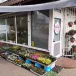 Kwiaciarnia ,,Margaret”