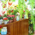 Kwiaciarnia Margaretka