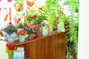 Kwiaciarnia Margaretka