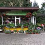 Kwiaciarnia „Maria”