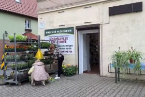 Kwiaciarnia MARTA PREZENTUJE