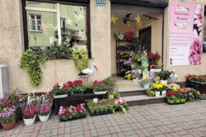 Kwiaciarnia Marzenie Poczta Kwiatowa Orneta