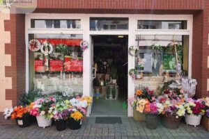 Kwiaciarnia Matuszek Rynek | Ozdoby, Upominki, Kwiaty, Poczta Kwiatowa