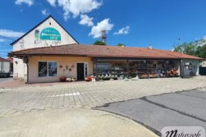 Kwiaciarnia Matuszek Targ | Ozdoby, Upominki, Kwiaty, Poczta Kwiatowa