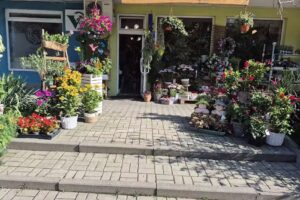 Kwiaciarnia „Midori”