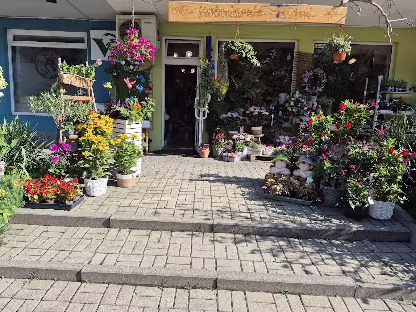 Kwiaciarnia „Midori”