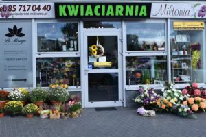 Kwiaciarnia – Miltonia