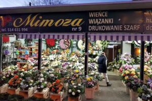 Kwiaciarnia Mimoza- Cmentarz Północny, Anna Zuznakiewicz