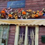 Kwiaciarnia Monstera