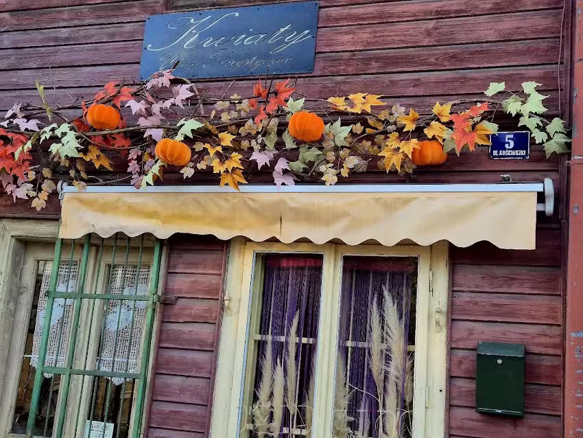 Kwiaciarnia Monstera