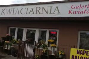 Kwiaciarnia Myślenice Galeria Kwiatów