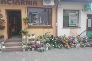 Kwiaciarnia Na Deptaku w Żmigrodzie