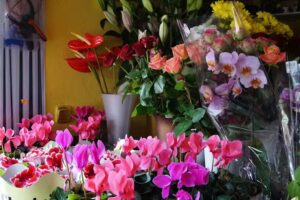 Kwiaciarnia na Lwowskiej