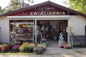 Kwiaciarnia na Zajączku