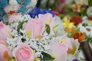 Kwiaciarnia – Nati-Sten Kfiatolandia Prezentowa Natalia Stencel