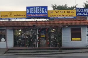 Kwiaciarnia Niebieska
