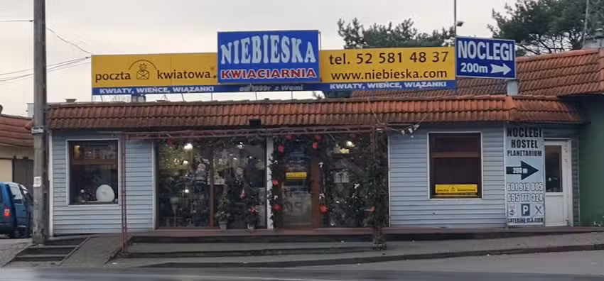 Kwiaciarnia Niebieska