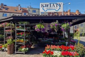 Kwiaciarnia „Niebieski Maluch”