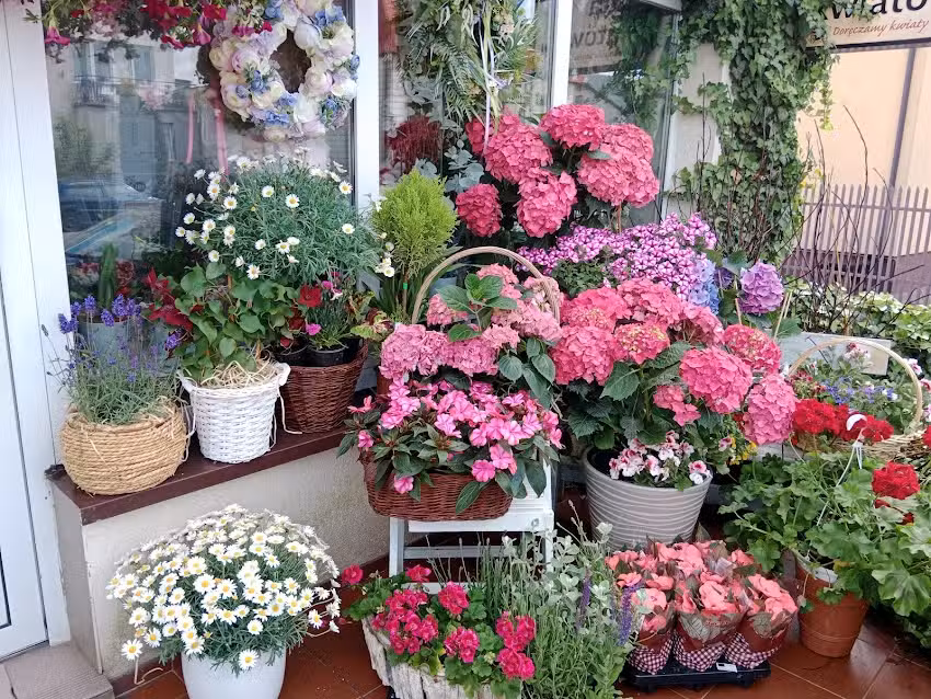 Kwiaciarnia Niezapominajka
