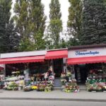 Kwiaciarnia Niezapominajka